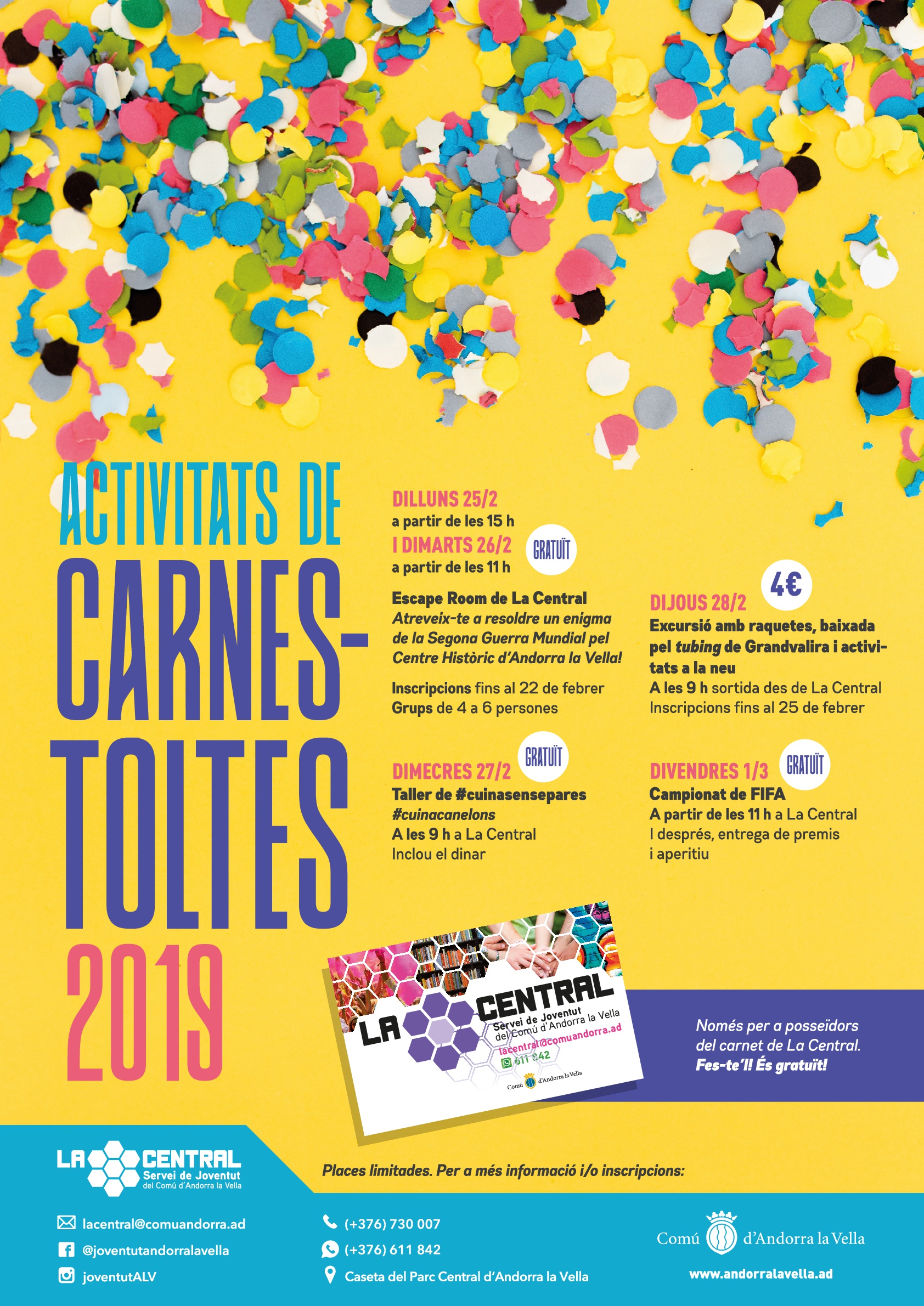 Cartell carnaval La Central 20019